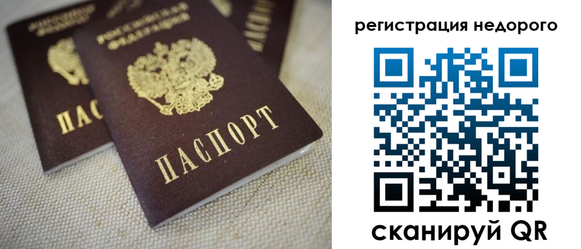 временная регистрация гарантия в Елизово